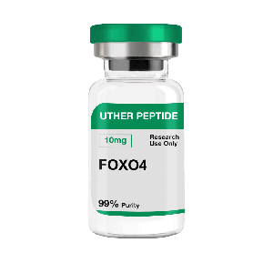 FOXO4