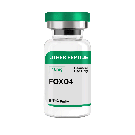 FOXO4